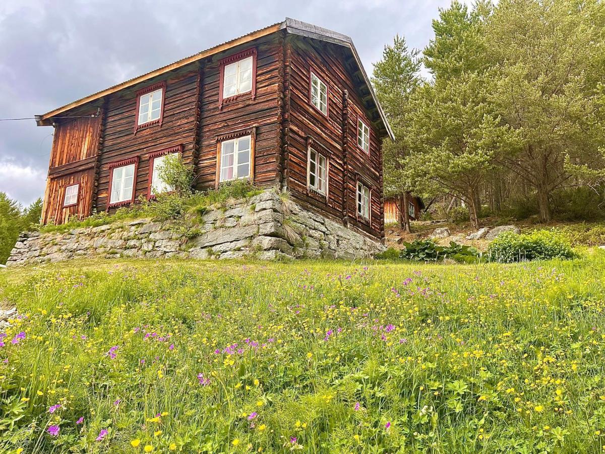 Skjåk Reinheimen Lodge מראה חיצוני תמונה